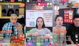 四大家族直播爆料视频,独家爆料视频深度解析