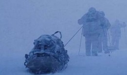 后天在线观看神马,后天在线观看，尽享科幻盛宴